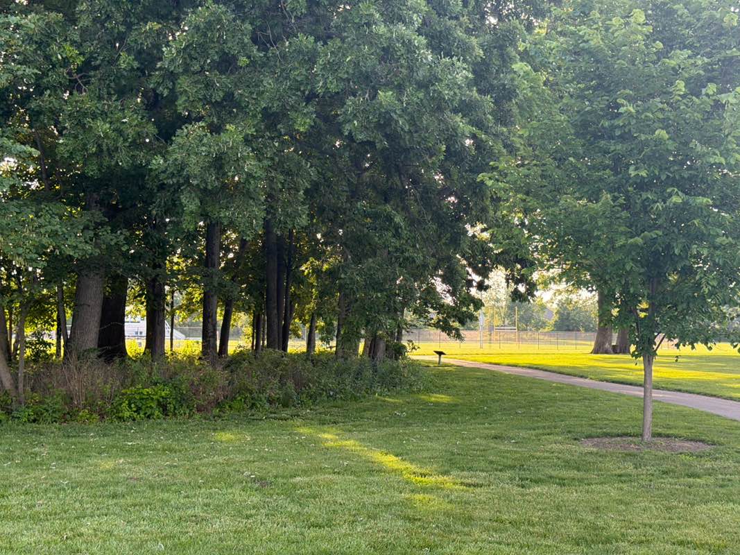 walking near me in Schoolhouse Park in summer