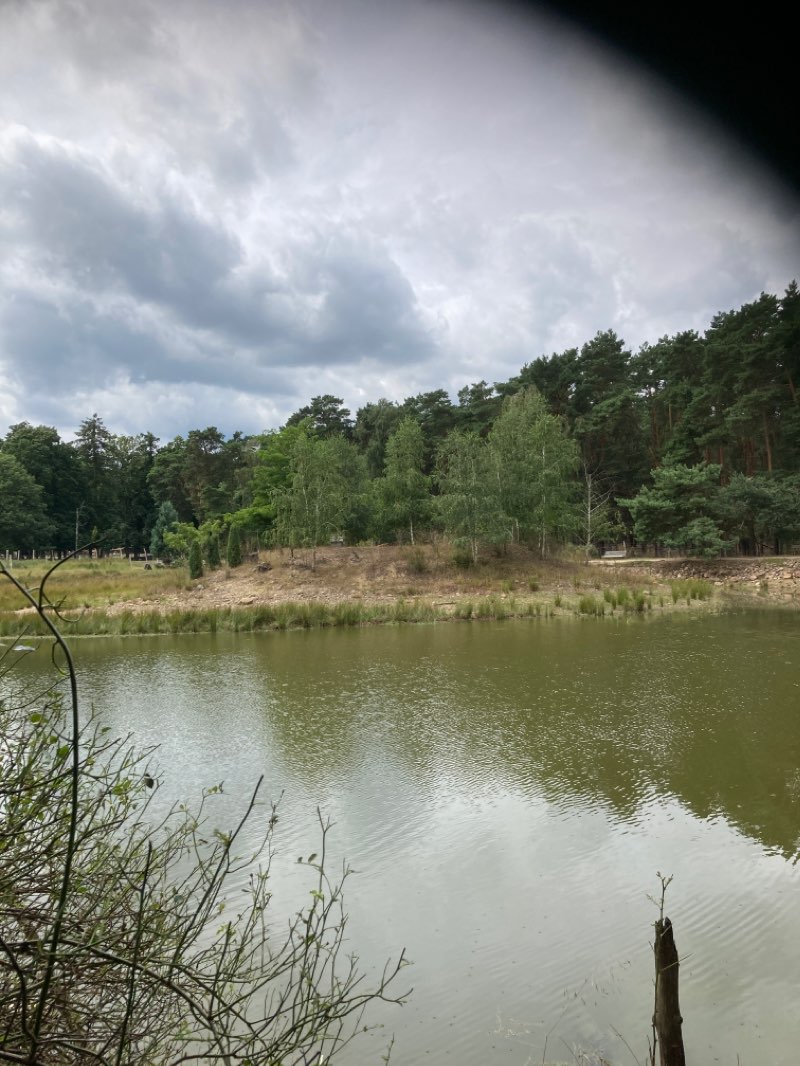 walking near me in Braunbären in winter