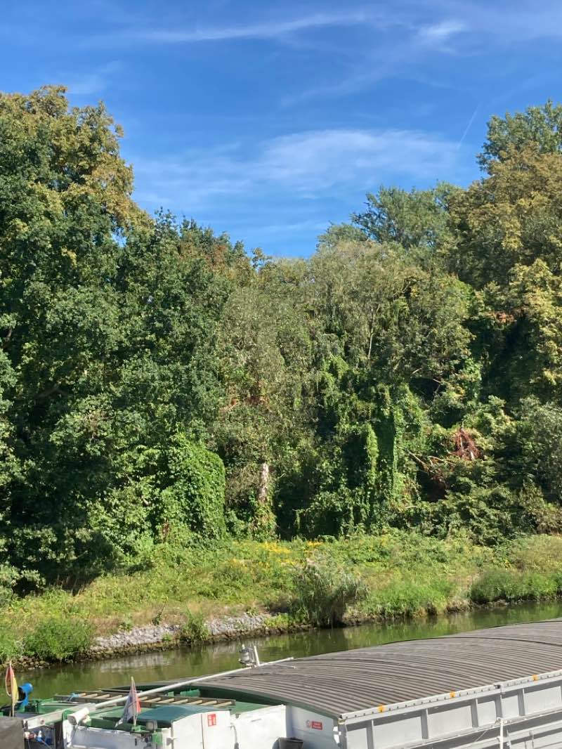 walking near me in Nuthepark in winter