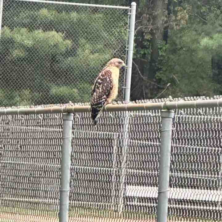 Berkingdown Thehouse post 1