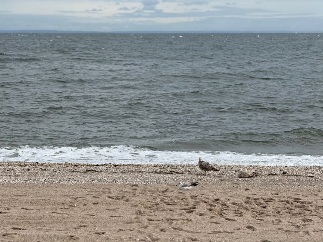 walking near me in Cedar Beach Town Park in spring