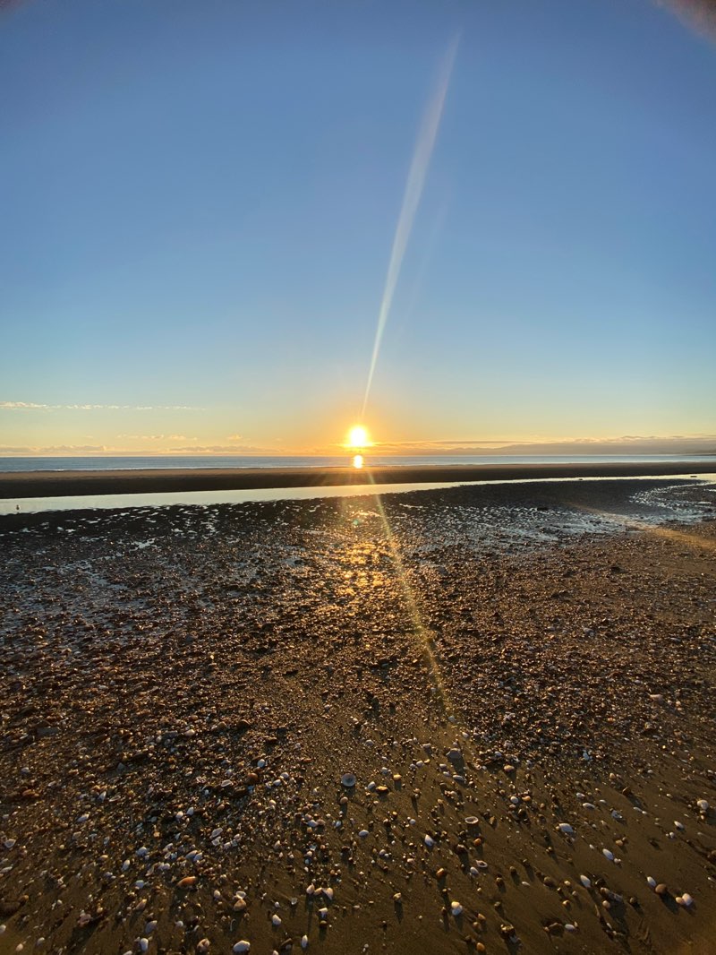 walking near me in Miles Reserve in summer