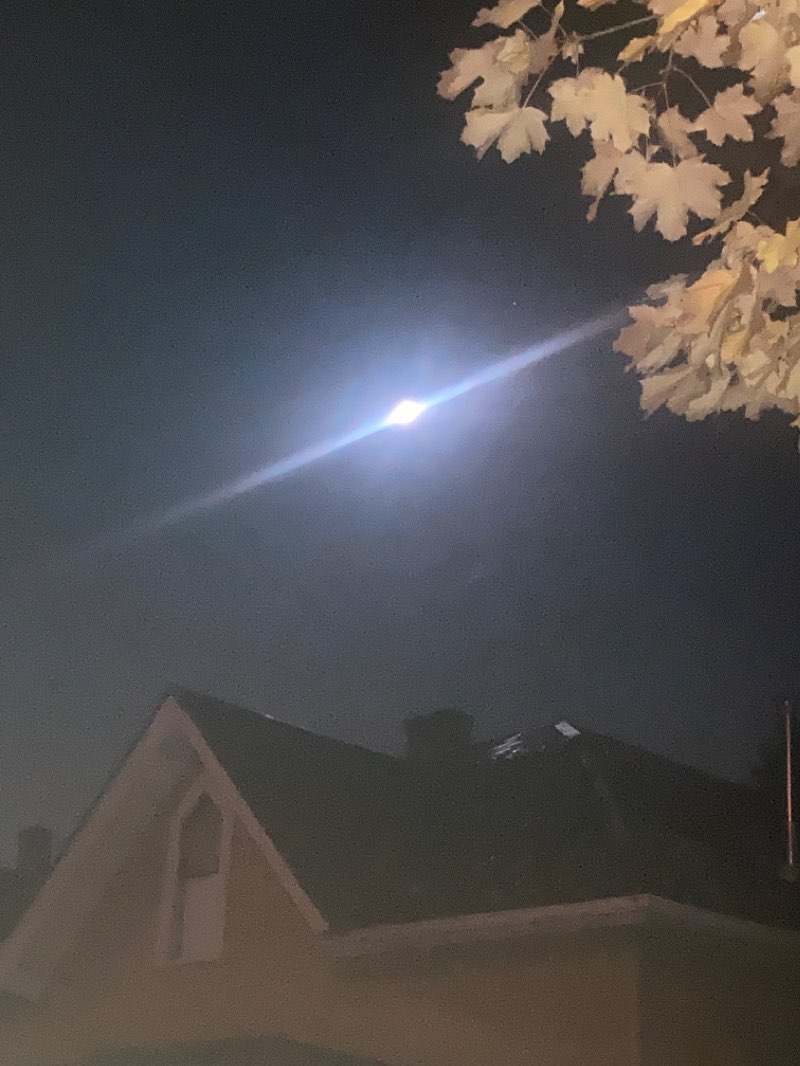 walking near me in Diamond Park in winter