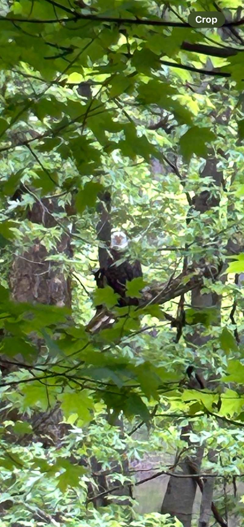 walking near me in Bicentennial Park in winter
