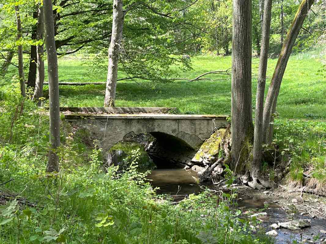 walking near me in Francouzský park in winter