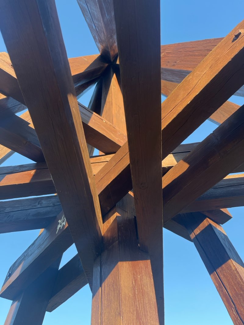 walking near me in Zámecký park Dolní Počernice in winter