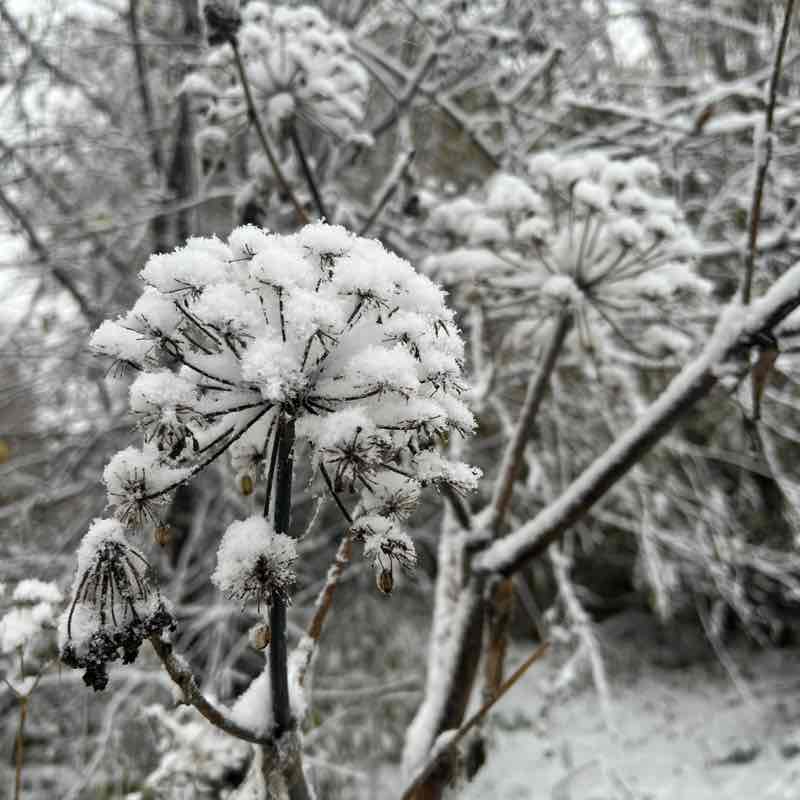 Маруся🔥✨ post 2