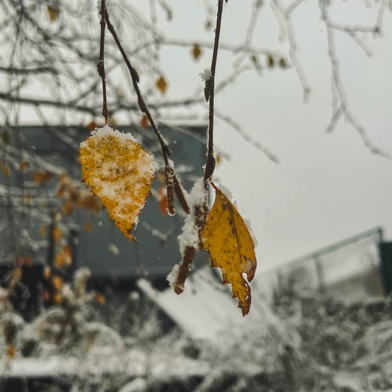 Маруся🔥✨ post 3