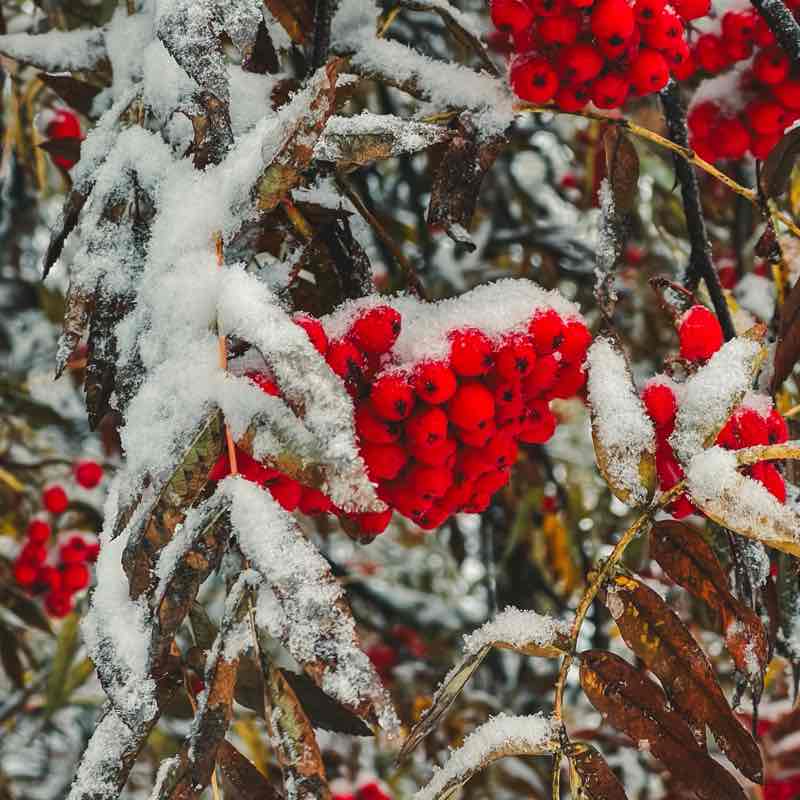 Маруся🔥✨ post 3