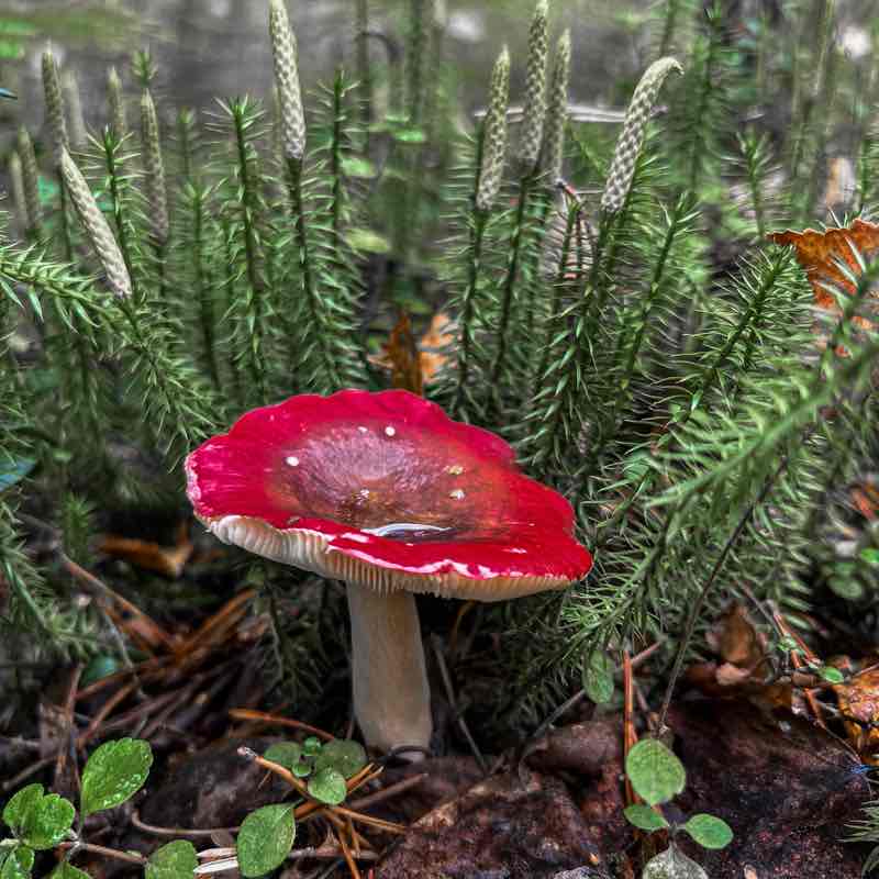 Маруся🔥✨ post 2