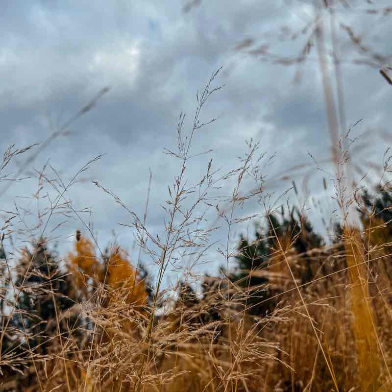 Маруся🔥✨ post 2