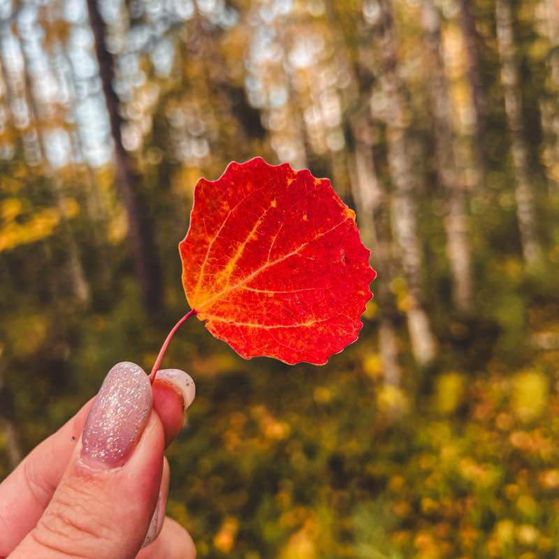 Маруся🔥✨ post 3