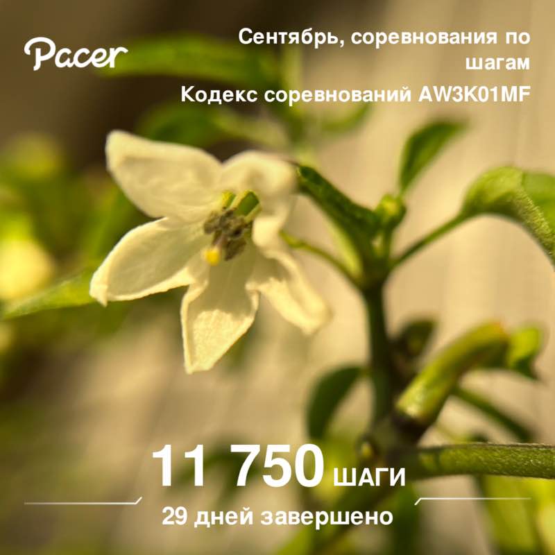 Маруся🔥✨ post 1