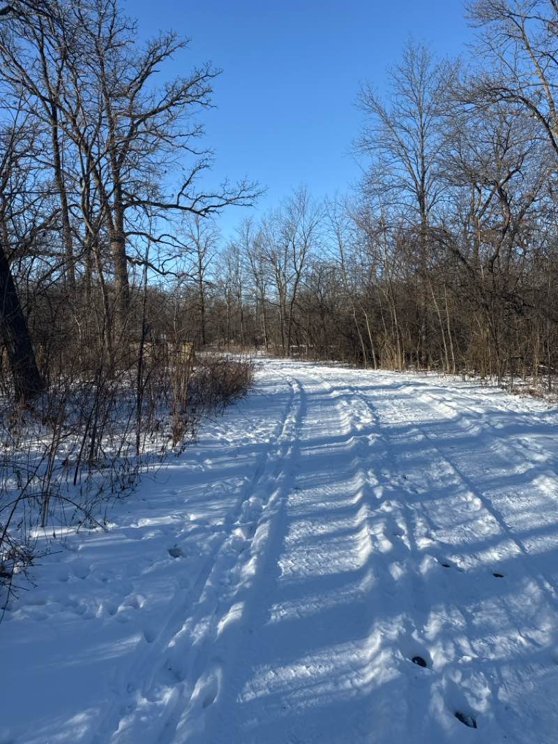 walking near me in Deer Grove Nature Preserve in winter