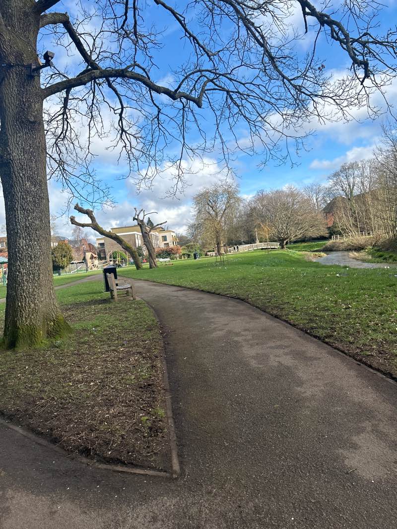walking near me in Gostrey Meadow in winter