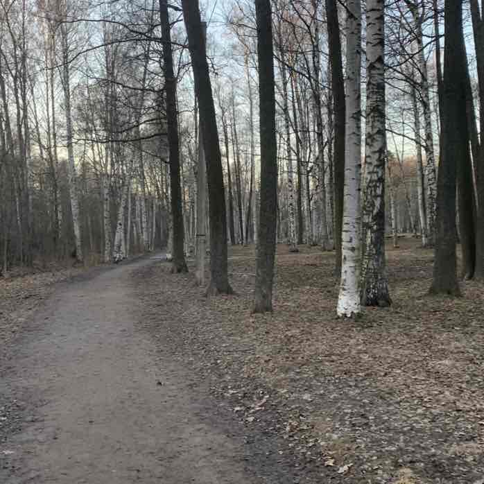 🌶 Николай 🇷🇺 post 3