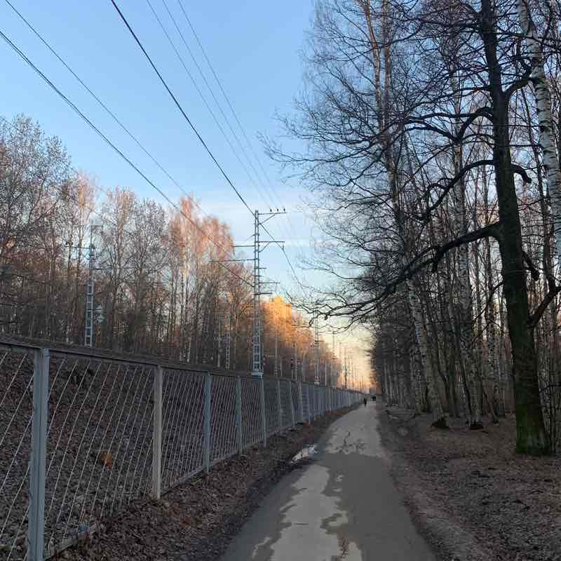 🌶 Николай 🇷🇺 post 2