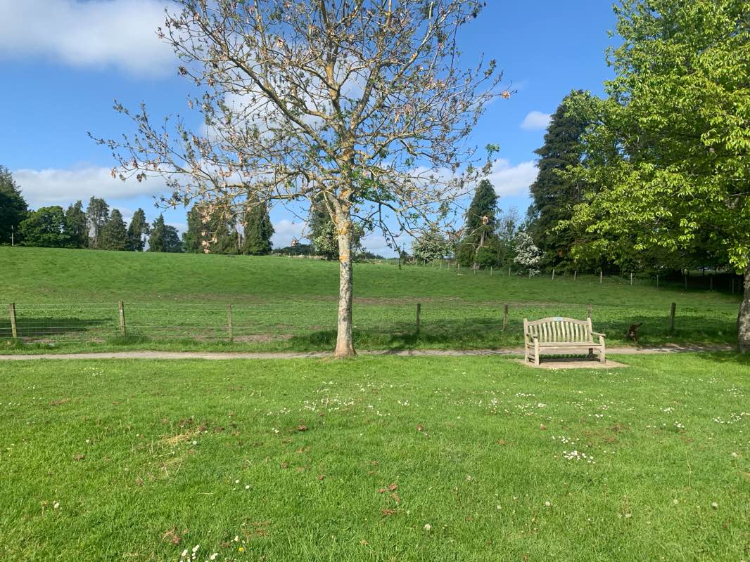 walking near me in Bogbeth Park in summer