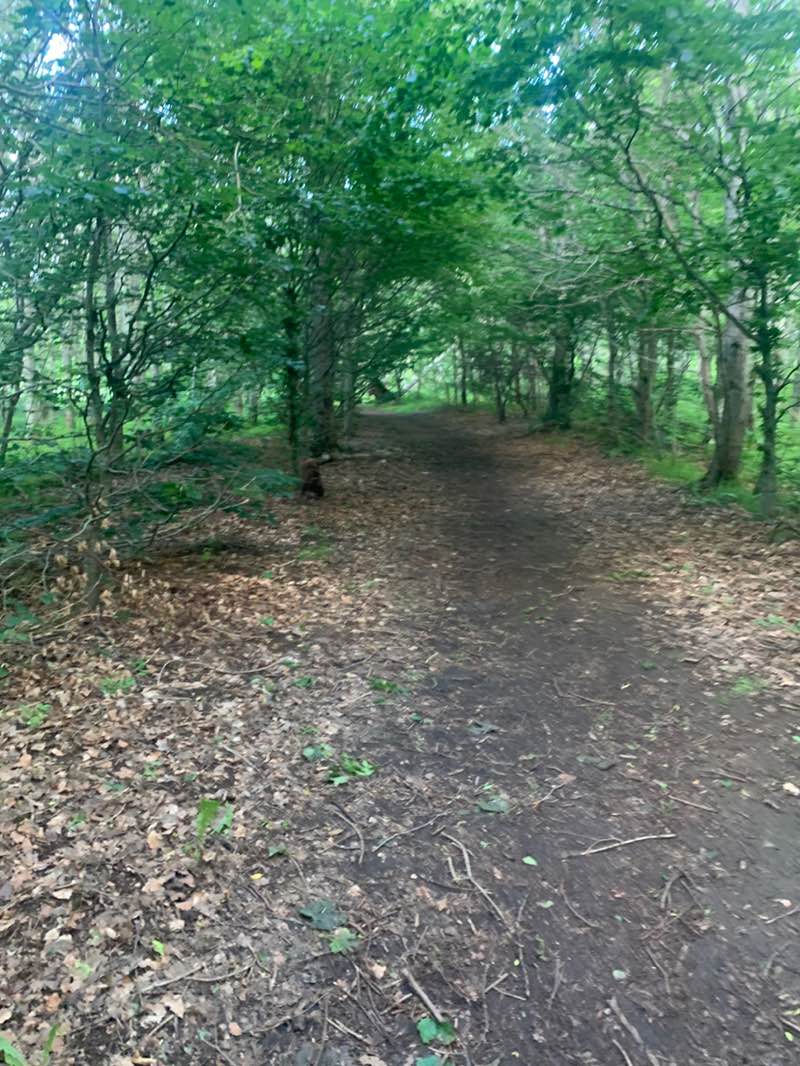 walking near me in Place of Origin in summer