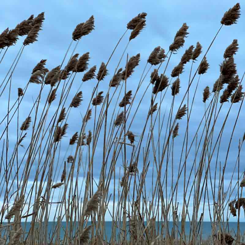 Gulzi🇰🇿🌊💛 post 2