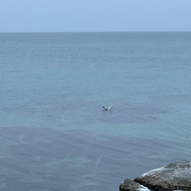 Gulzi🇰🇿🌊💛 post 3