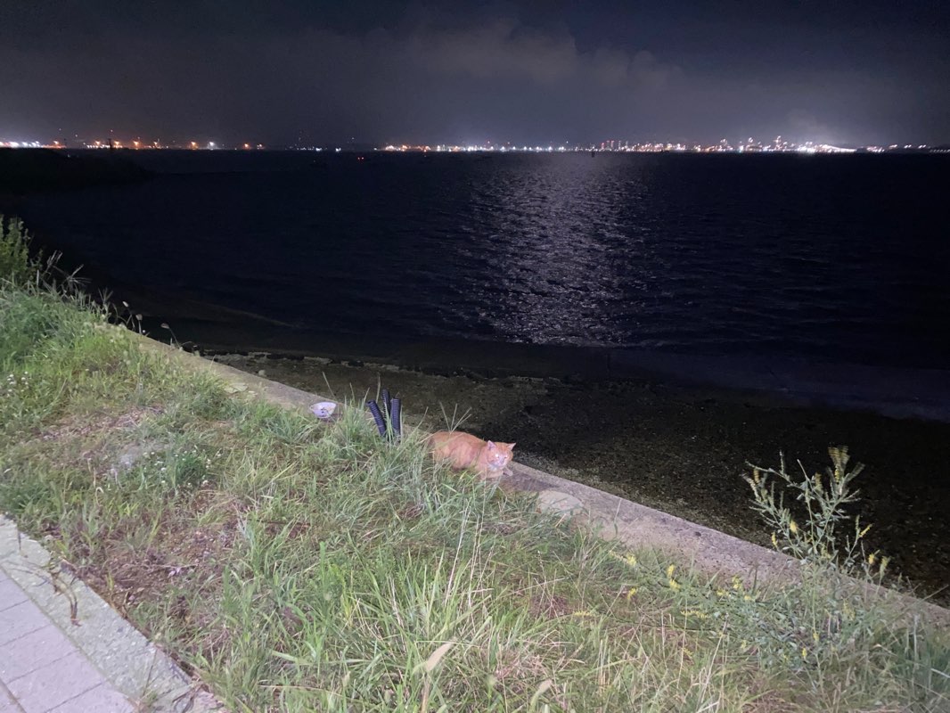 walking near me in 매향리 평화생태공원 in winter
