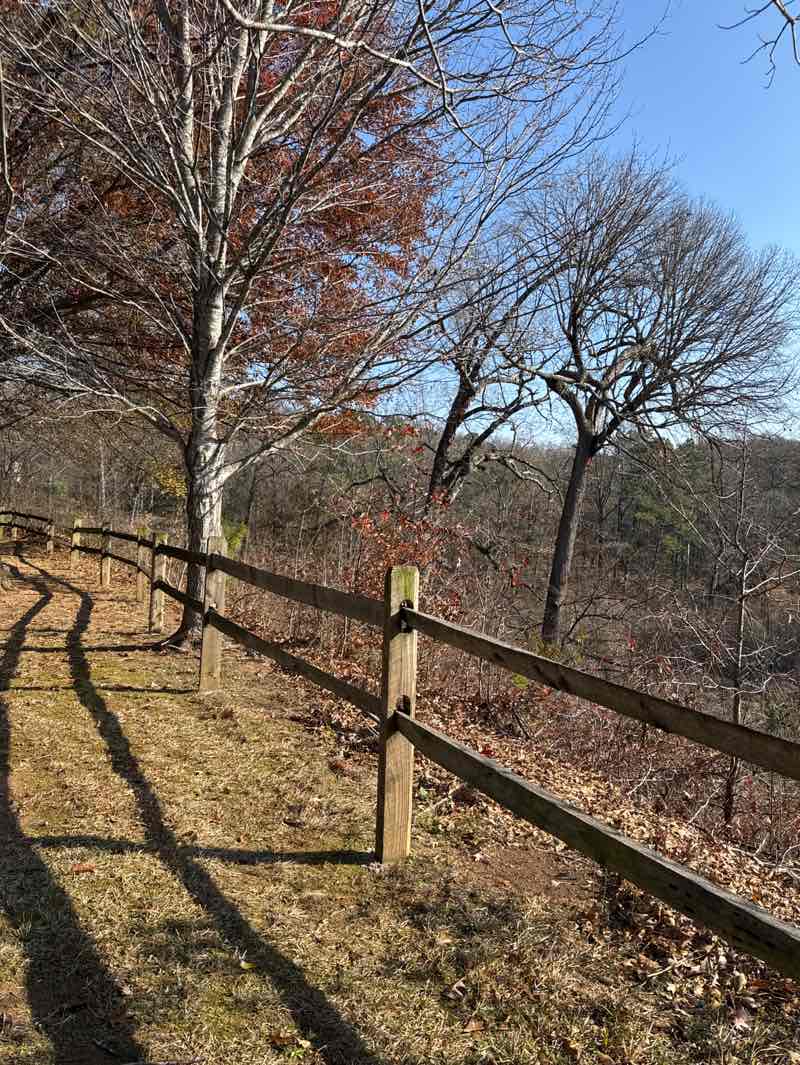 walking near me in South Bend Park in winter