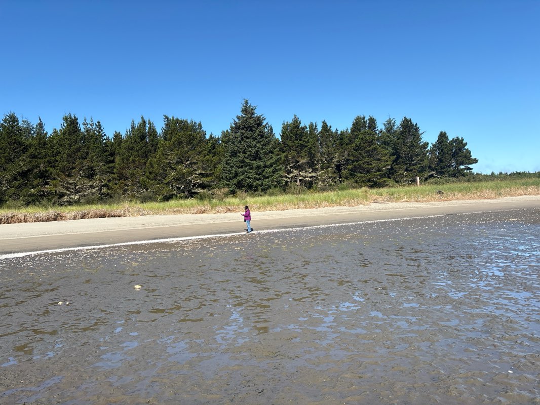 walking near me in Willapa National Wildlife Refuge in summer