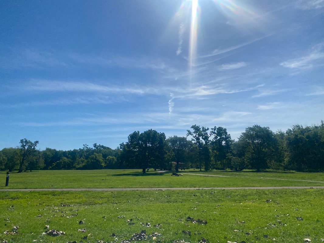 walking near me in Ottawa Trail Woods South in winter