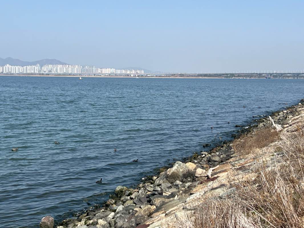 walking near me in 강변 환경공원 in spring