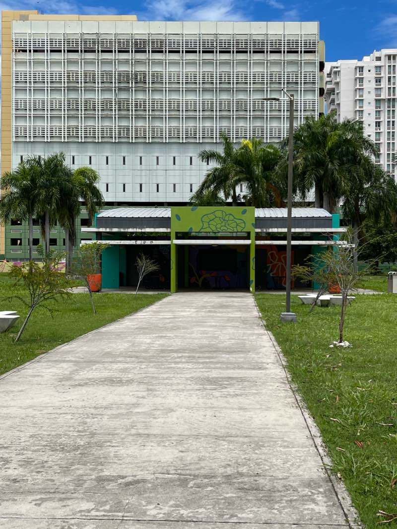 walking near me in Parque Isabel La Católica in winter