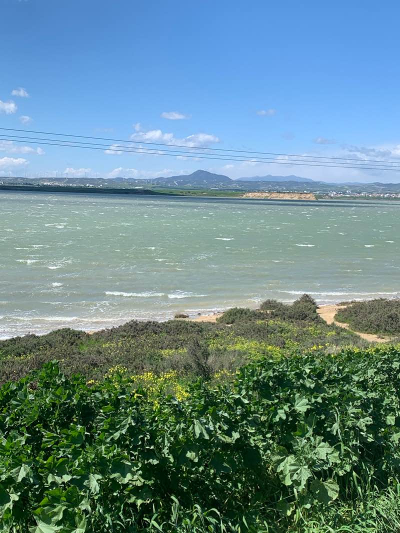 walking near me in Salt Lake park in winter