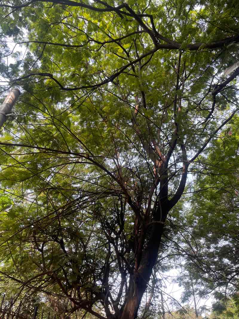 walking near me in Sundarayya Park in winter