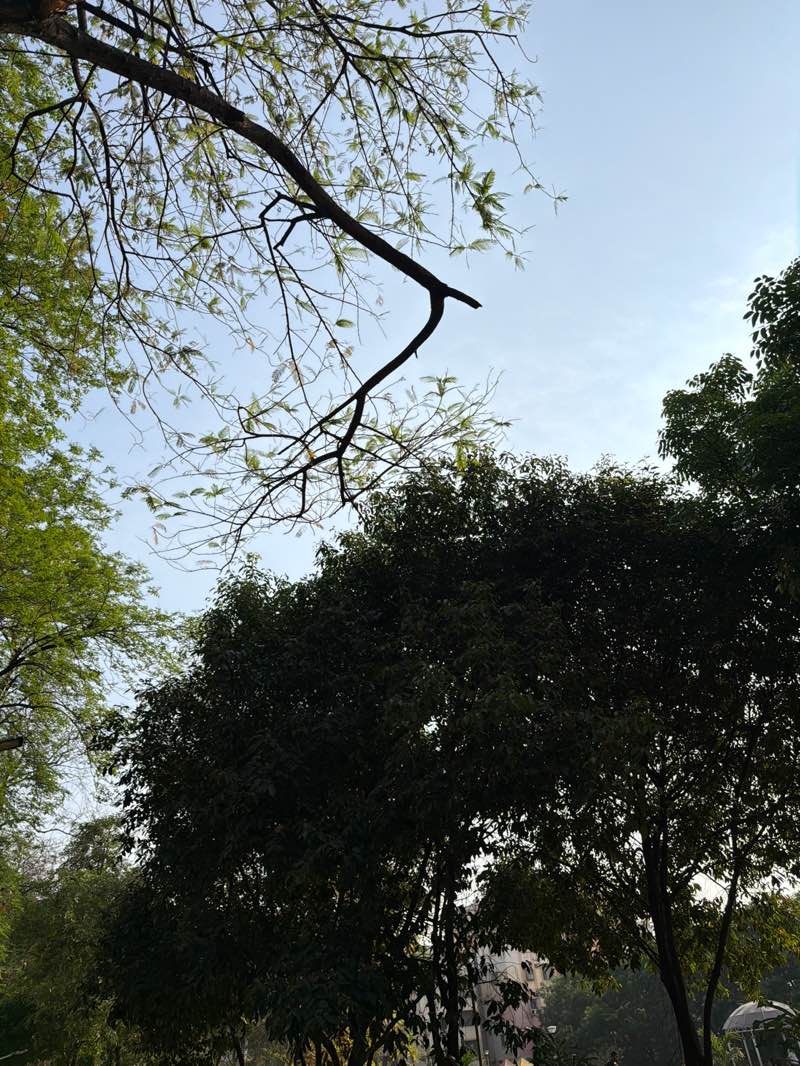 walking near me in Melkote Park in spring