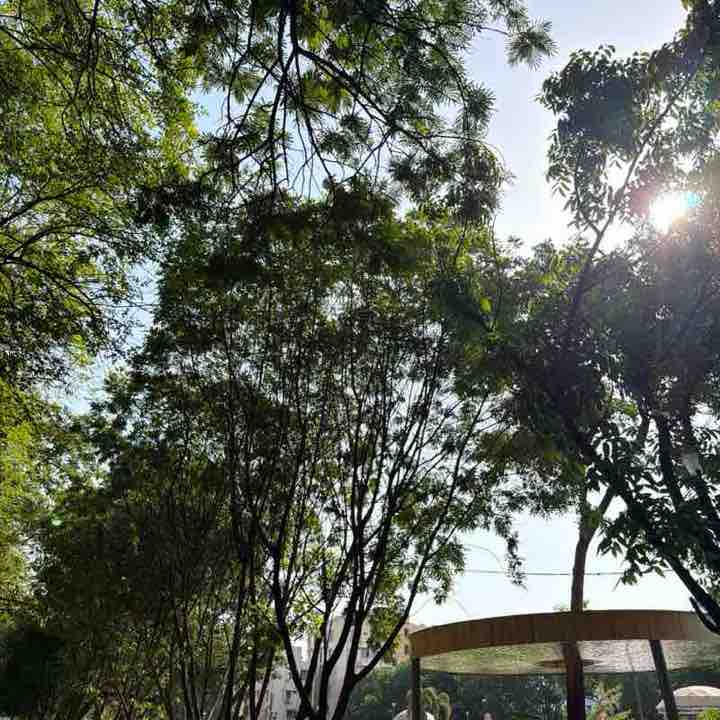 devender post 1