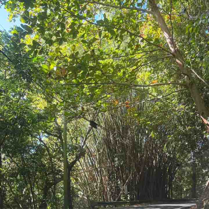 Eunice Marie Rios Marquez ❤️🇵🇷 post 1