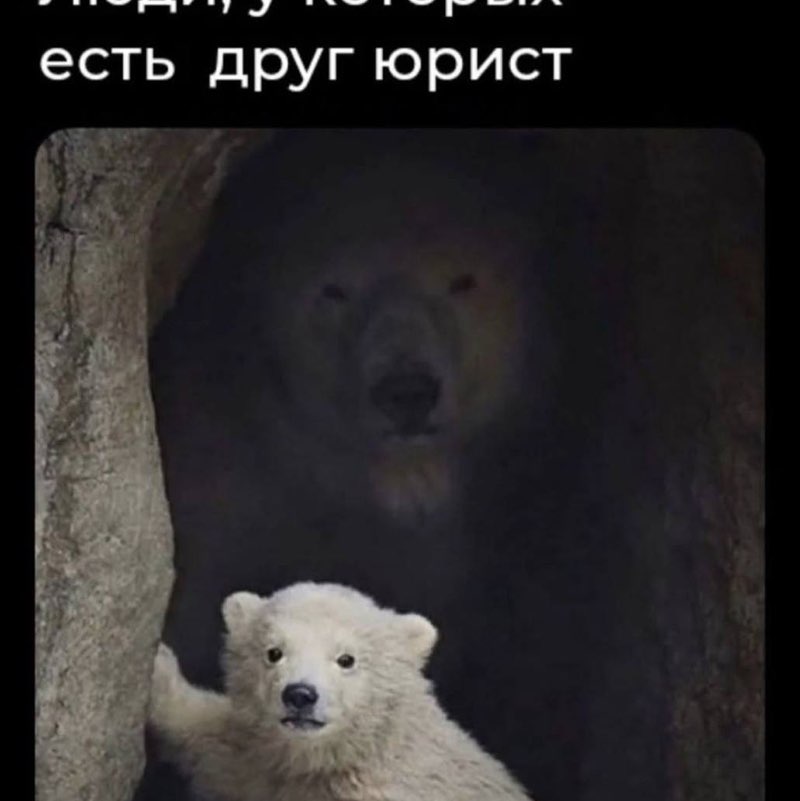 Татьяна Верещагина post 1