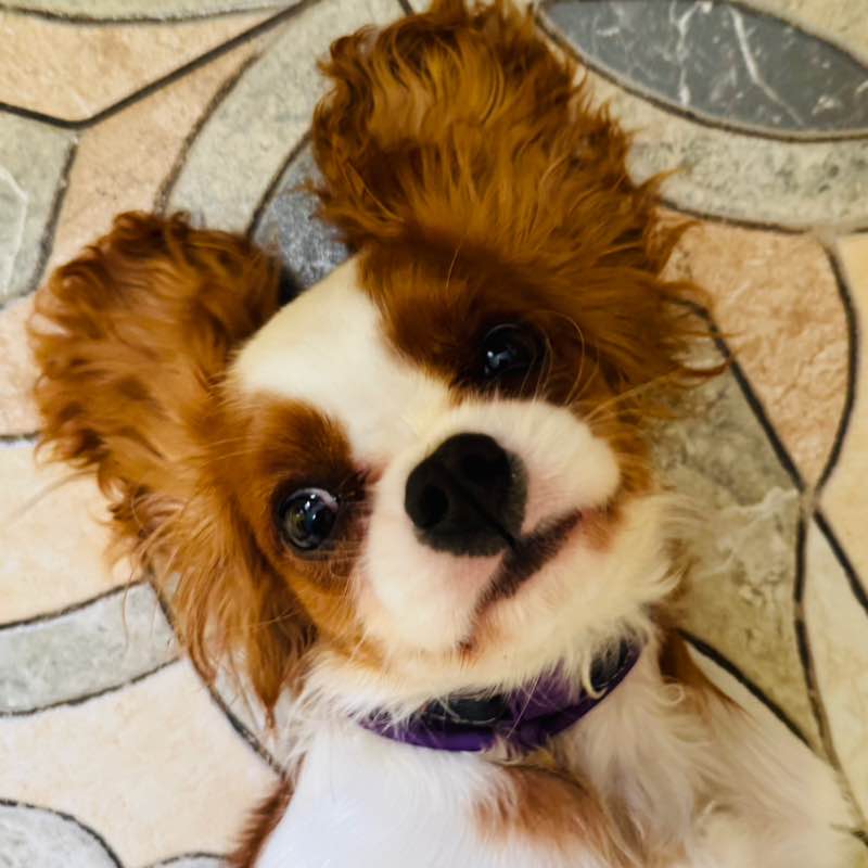 Татьяна Верещагина post 1