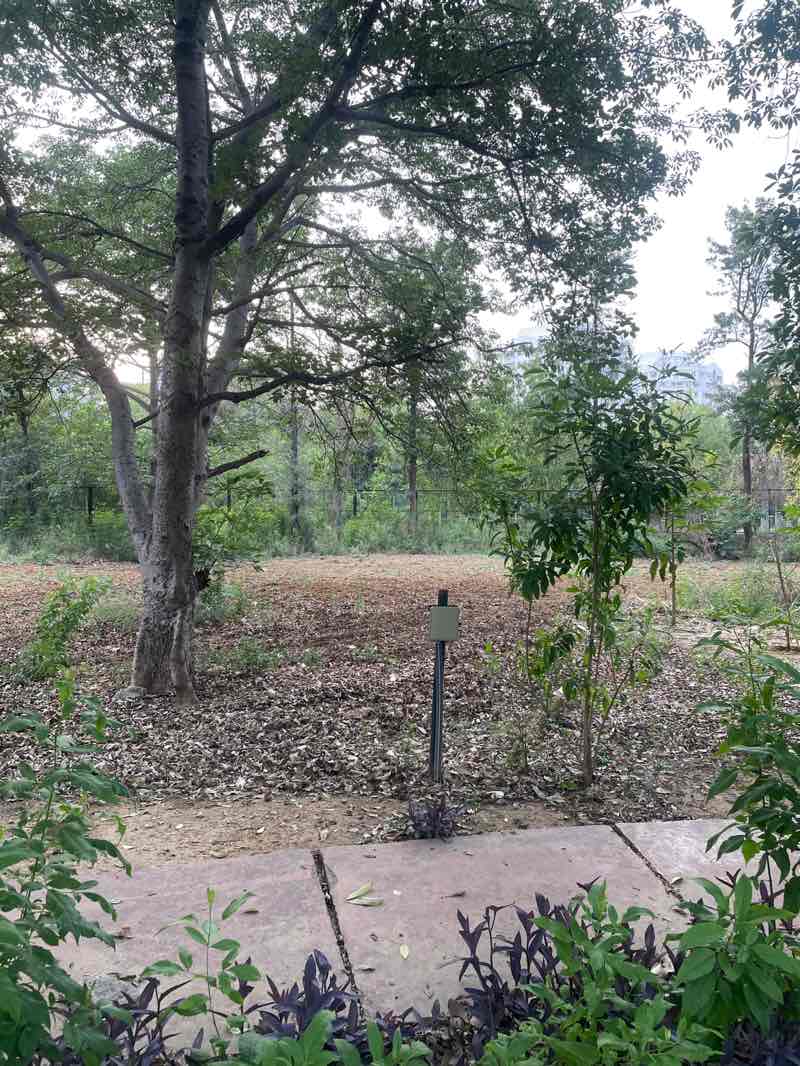 walking near me in Malibu Town Parks in spring