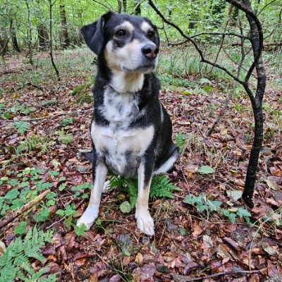 ❤️👟HERZDAMEN👟❤️ Belinda post image