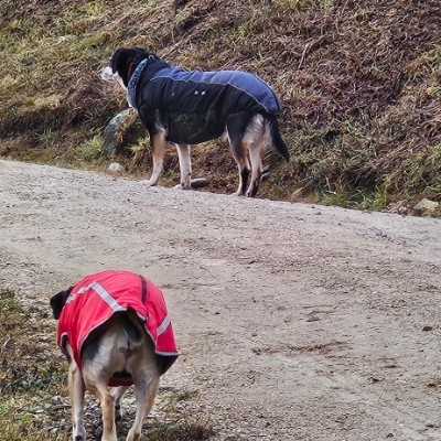 Stralsund bewegt sich 💪⚓ Belinda post image