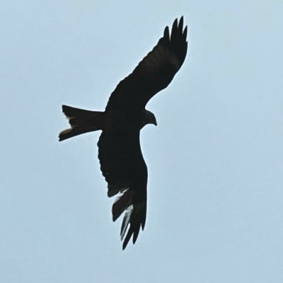 Stralsund bewegt sich 💪⚓ Belinda post image