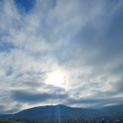 Die Motivations -Bande Belinda post image