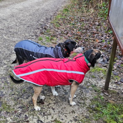 Die Motivations -Bande Belinda post image