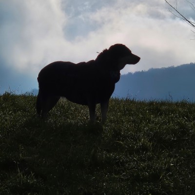 Einfach nur gehen Belinda post image