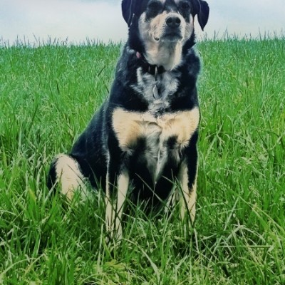 Die Motivations -Bande Belinda post image