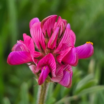 Die Motivations -Bande Belinda post image