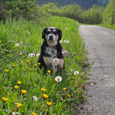 Die Motivations -Bande Belinda post image