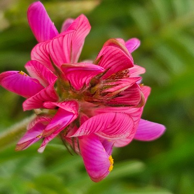 Sun☀️Sonne 🦋🌼☘🏃🏼‍♀️🏃🏼‍♂️ Belinda post image