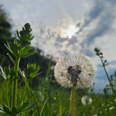 Die Motivations -Bande Belinda post image